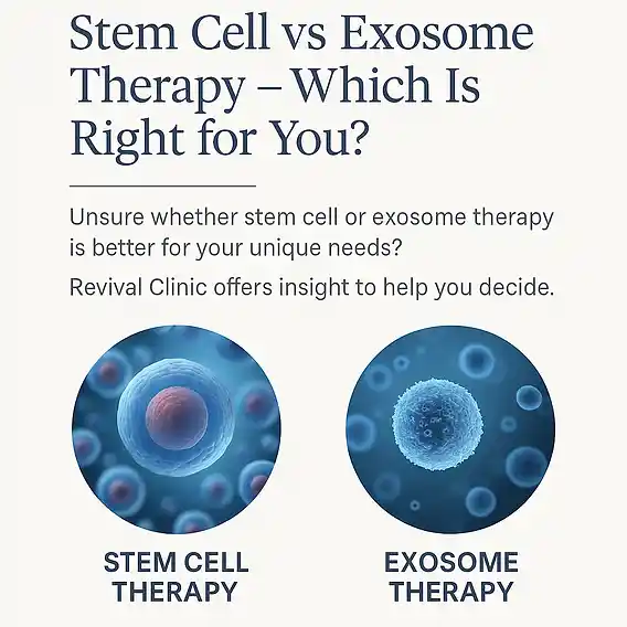 steam-cell-vs-exosome